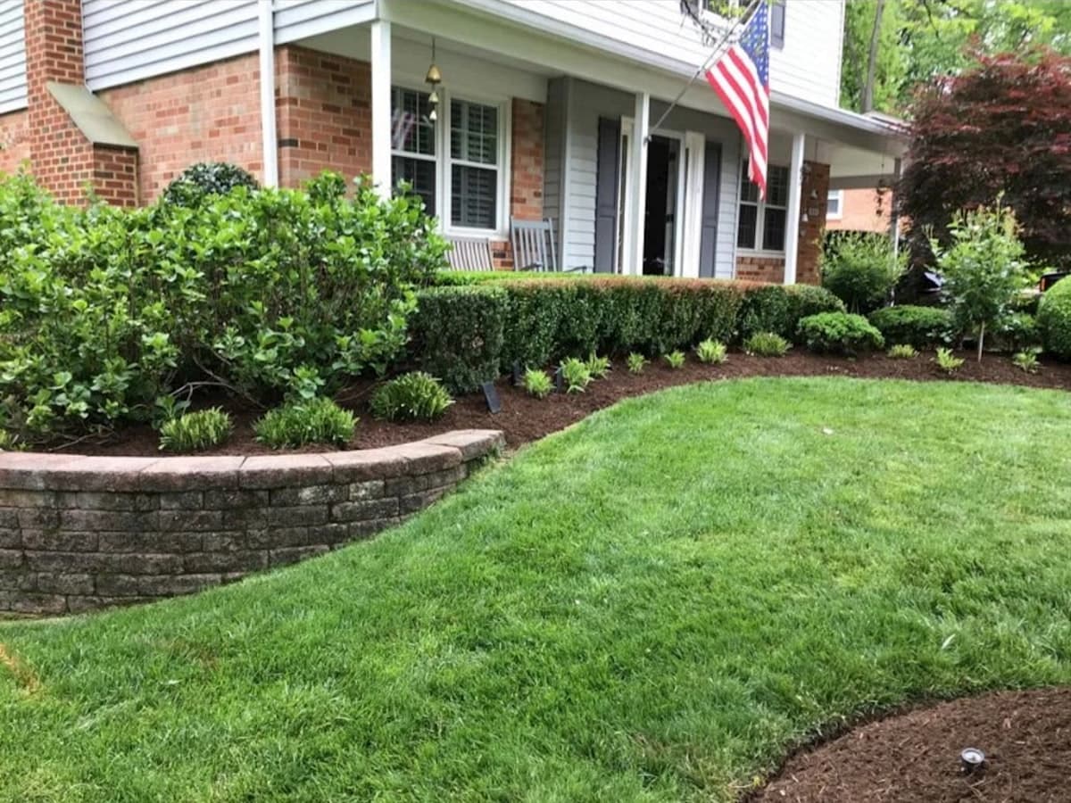 Yard Maintenance